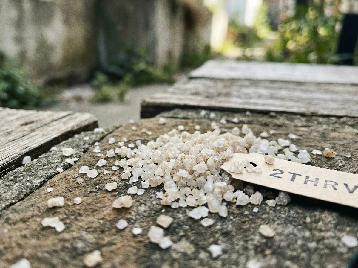 celtic sea salt on a wooden surface with a blurred background